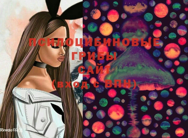 винт Белокуриха