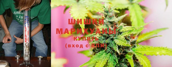 винт Белокуриха
